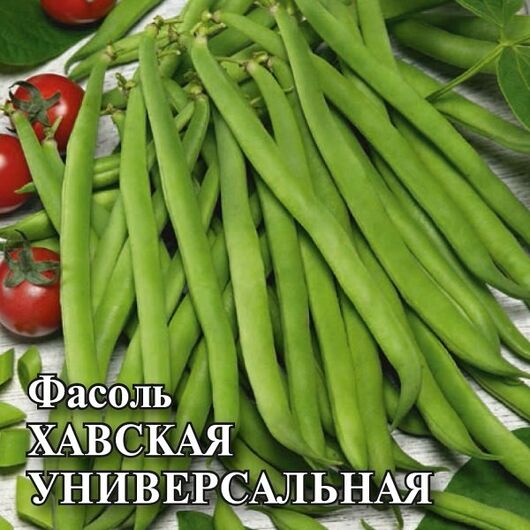 Фасоль Хавская Универсальная 100 г
