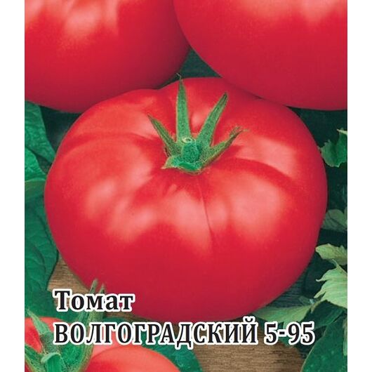 Томат Волгоградский 5/95 25,0 г