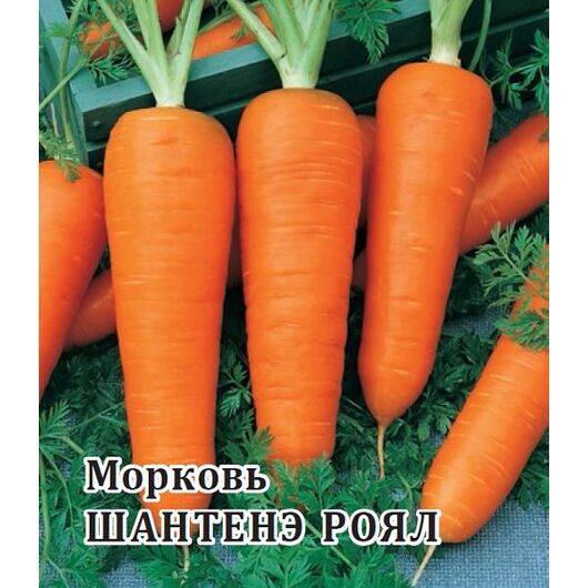 Морковь Шантенэ Роял 100 г