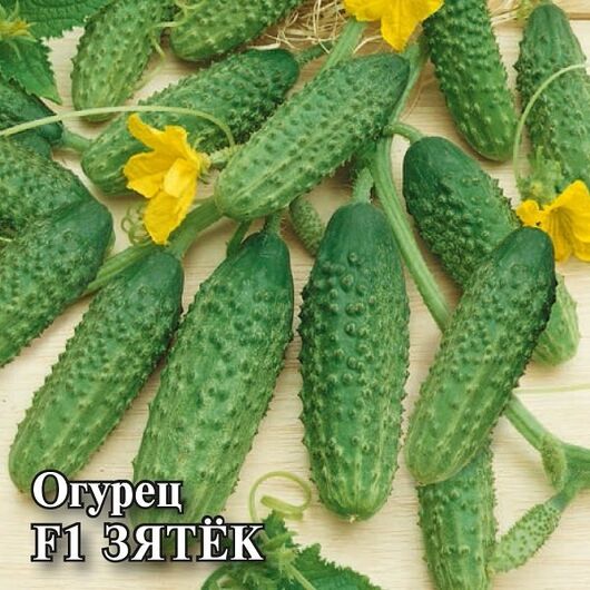 Огурец Зятек F1 100 шт.