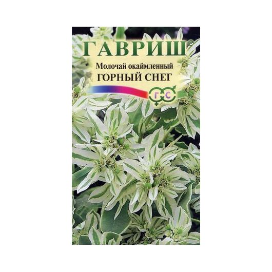 Молочай окаймленный Горный снег 0,5 г