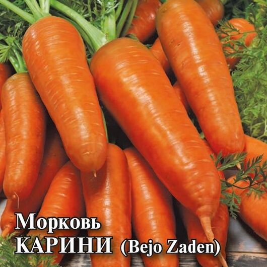 Морковь Карини 25 г (Голландия)