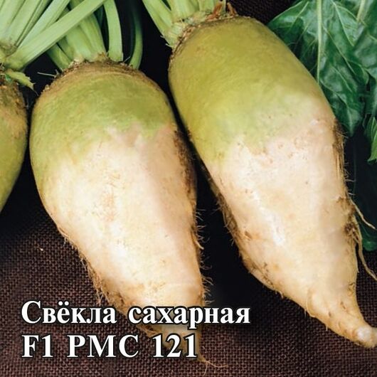 Свекла сахарная РМС 121 F1 100 г