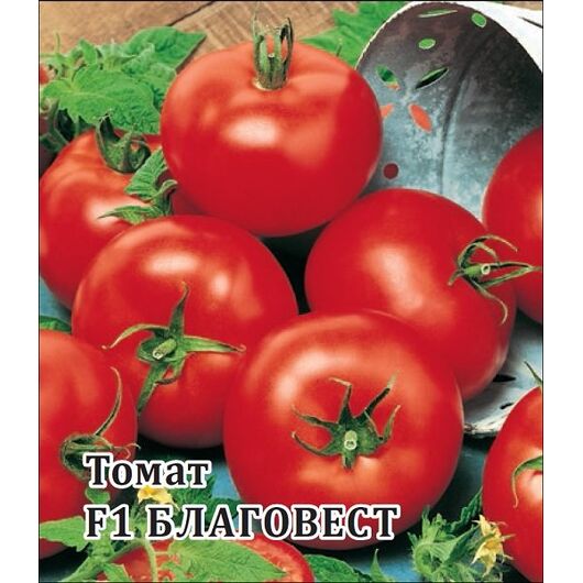 Томат Благовест F1 100 шт.
