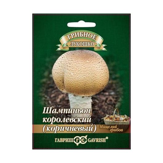 Шампиньон Королевский (Коричневый) на зерновом субстрате, больш. пак. 15 мл