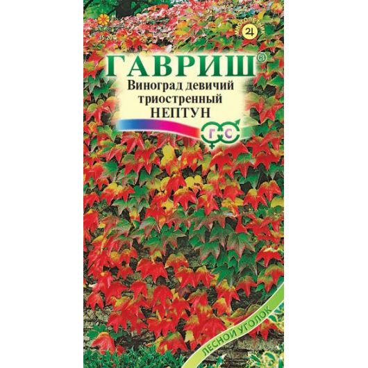 Виноград триостренный Нептун 5 шт.