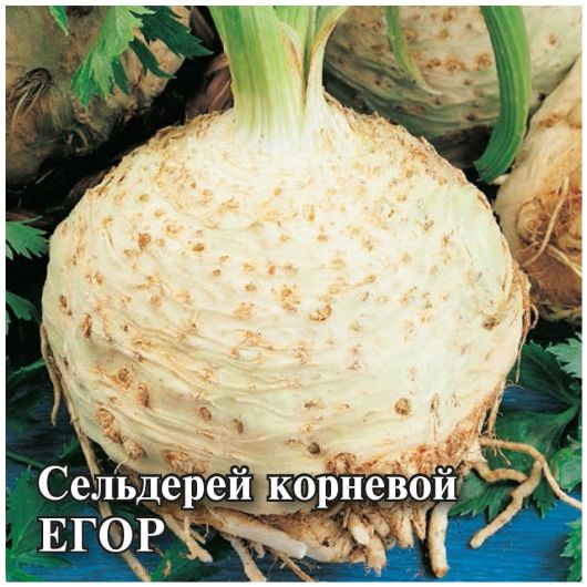 Сельдерей корневой Егор 5,0 г