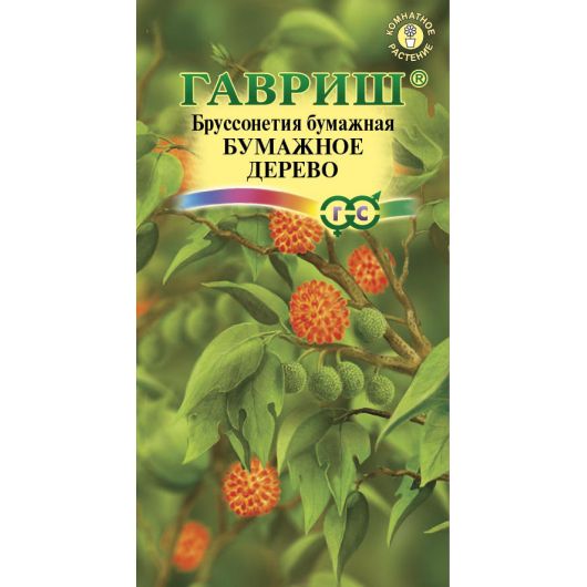 Бруссонетия Бумажное дерево* 3 шт.