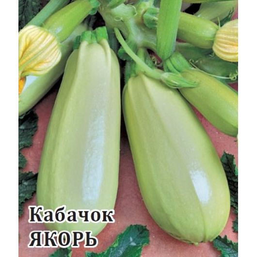 Кабачок Якорь 25,0 г