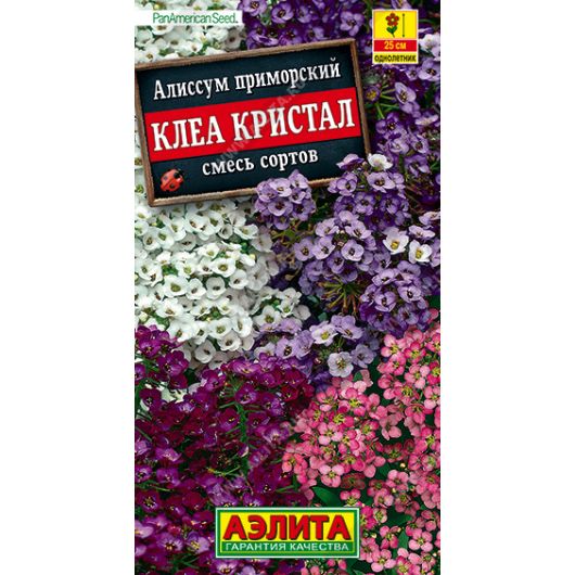 Алиссум Клеа Кристал, смесь окрасок 5 шт. Аэлита