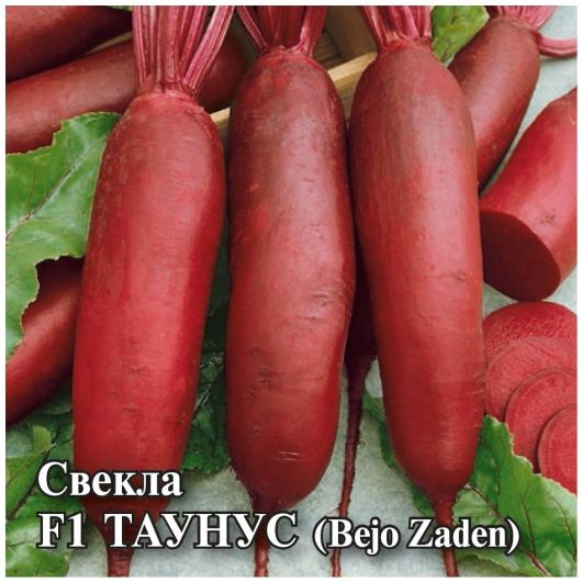 Свекла Таунус F1 25,0 г (Голландия)