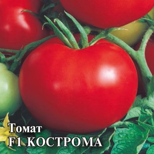 Томат Кострома F1 100 шт.