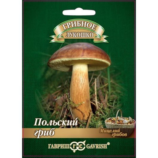 Польский гриб на зерновом субстрате, больш. пак. 15 мл