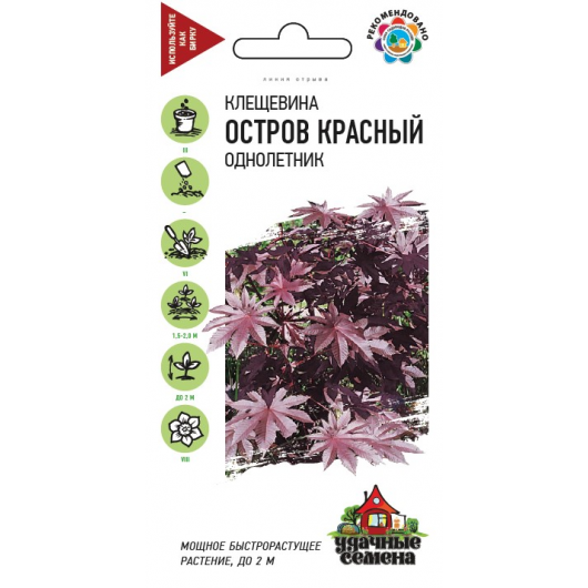 Клещевина Остров Красный  5 шт. Удачные семена Клещевина Остров Красный  5 шт. Удачные семена