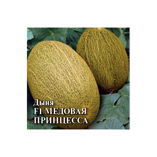 Дыня Медовая принцесса 50 г Дыня Медовая принцесса 50 г
