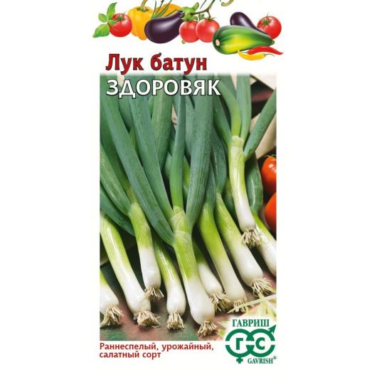 Лук батун Здоровяк 1,0 г Лук батун Здоровяк 1,0 г