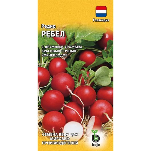 Редис Ребел 1,0 г (Голландия) Редис Ребел 1,0 г (Голландия)