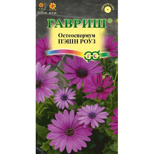 Остеоспермум Пэшн роуз  3 шт.