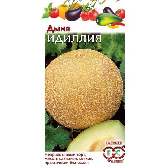 Дыня Идиллия 100 г Дыня Идиллия 100 г