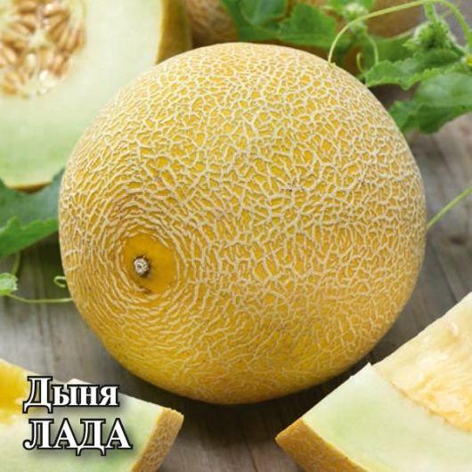 Дыня Лада 25,0 г Дыня Лада 25,0 г