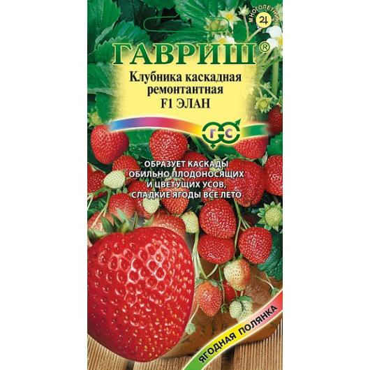 Земляника (Клубника) Элан F1 пробирка 5 шт. Земляника (Клубника) Элан F1 пробирка 5 шт.