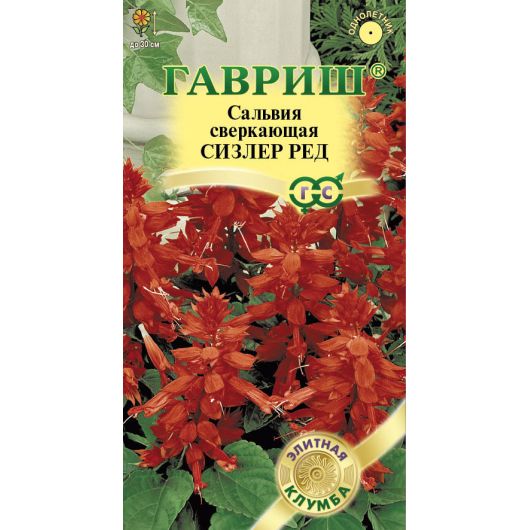 Сальвия Сизлер Ред 4 шт.* серия Элитная клумба Сальвия Сизлер Ред 4 шт.* серия Элитная клумба