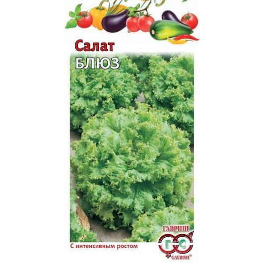 Салат Блюз 0,5 г, листовой Салат Блюз 0,5 г, листовой