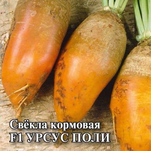 Свекла кормовая Урсус Поли 1 кг Свекла кормовая Урсус Поли 1 кг