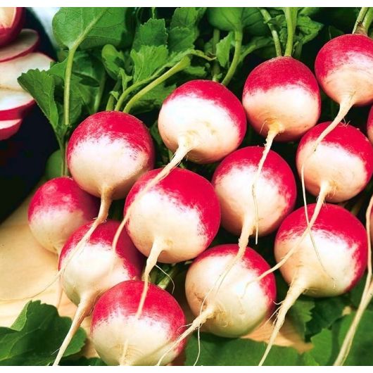 Редис Националь 100 г Редис Националь 100 г