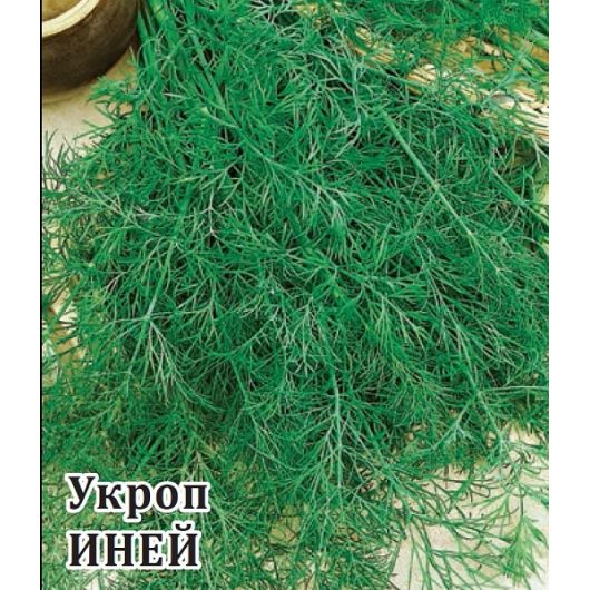 Укроп Иней 100,0 г Укроп Иней 100,0 г