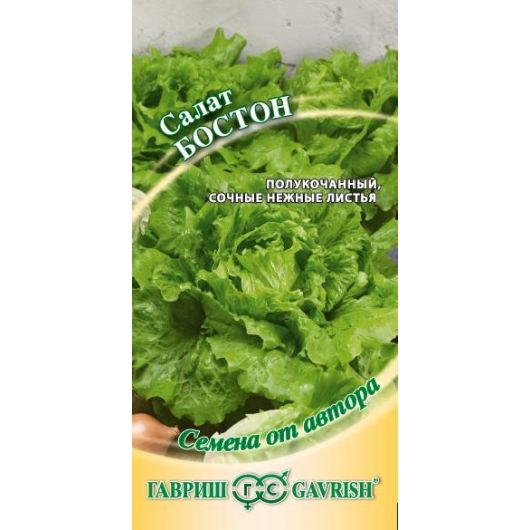 Салат Бостон 0,5 г автор. Салат Бостон 0,5 г автор.