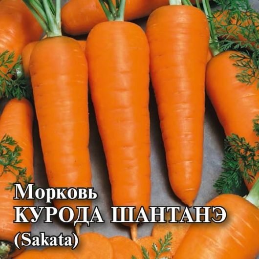 Морковь Курода Шантанэ 10,0 г (Саката) Морковь Курода Шантанэ 10,0 г (Саката)