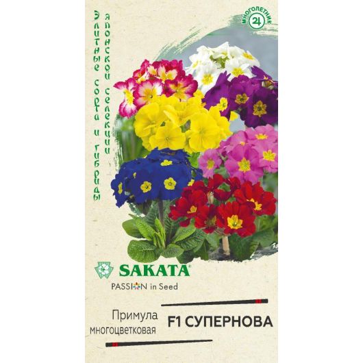 Примула Супернова F1, полиантовая 4 шт. Саката серия Эксклюзив Примула Супернова F1, полиантовая 4 шт. Саката серия Эксклюзив