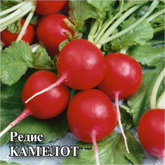 Редис Камелот 50,0 г Редис Камелот 50,0 г