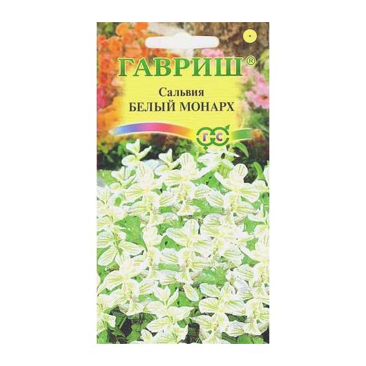 Сальвия Белый монарх, хорминум* 0,05 г Сальвия Белый монарх, хорминум* 0,05 г