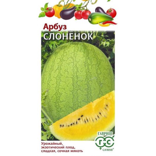 Арбуз Слоненок 5 шт. Арбуз Слоненок 5 шт.