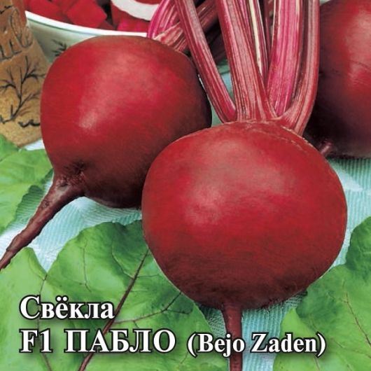 Свекла Пабло F1 25,0 г (Голландия) Свекла Пабло F1 25,0 г (Голландия)