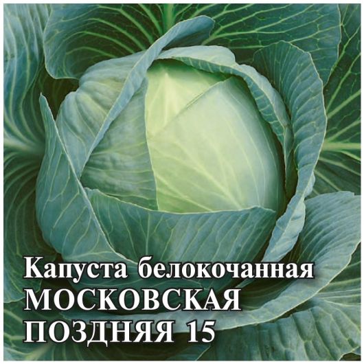 Капуста белокоч. Московская поздняя 15 25,0 г (для квашения) Капуста белокоч. Московская поздняя 15 25,0 г (для квашения)