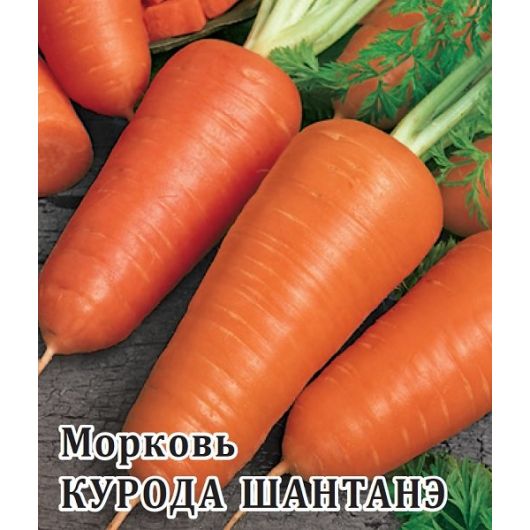 Морковь Курода Шантанэ 25,0 г Морковь Курода Шантанэ 25,0 г