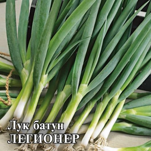 Лук батун Легионер 10,0 г Лук батун Легионер 10,0 г
