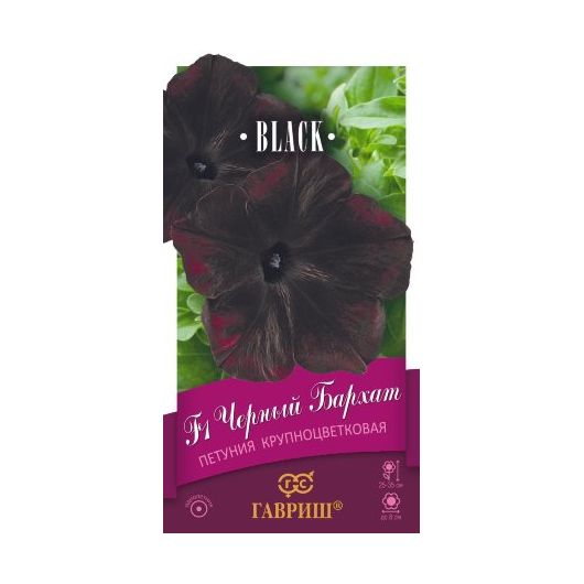 Петуния Черный бархат F1 крупноцв. 4 шт. гранул. пробирка, серия Блэк Петуния Черный бархат F1 крупноцв. 4 шт. гранул. пробирка, серия Блэк