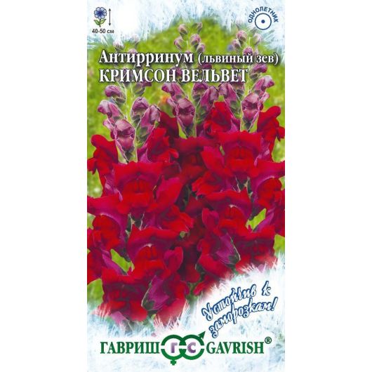 Львиный зев (Антирринум) Кримсон вельвет* 0,05 г серия Устойчив к заморозкам! Львиный зев (Антирринум) Кримсон вельвет* 0,05 г серия Устойчив к заморозкам!
