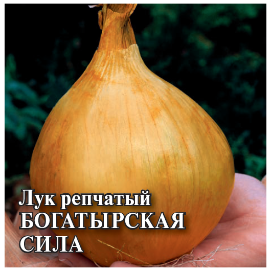 Лук репч. Богатырская сила 100,0 г Лук репч. Богатырская сила 100,0 г