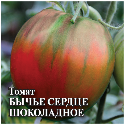 Томат Бычье сердце шоколадное 25,0 г Томат Бычье сердце шоколадное 25,0 г