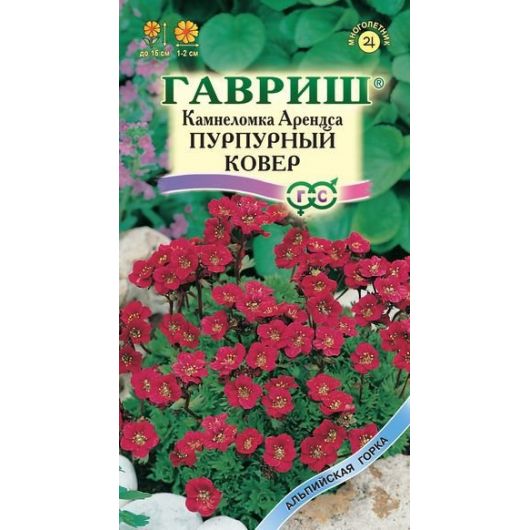 Камнеломка Арендса Пурпурный ковер* 0,01 г Камнеломка Арендса Пурпурный ковер* 0,01 г