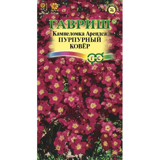 Камнеломка Арендса Пурпурный ковер* 0,01 г, изображение 2 Камнеломка Арендса Пурпурный ковер* 0,01 г, изображение 2