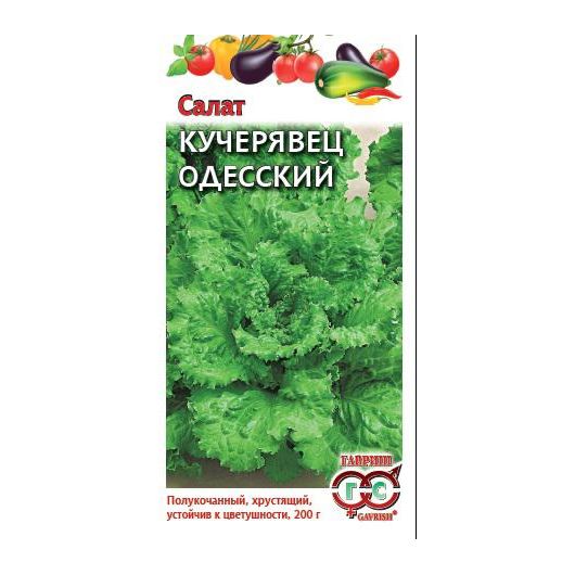 Салат Кучерявец Одесский 0,5 г хрустящий Салат Кучерявец Одесский 0,5 г хрустящий