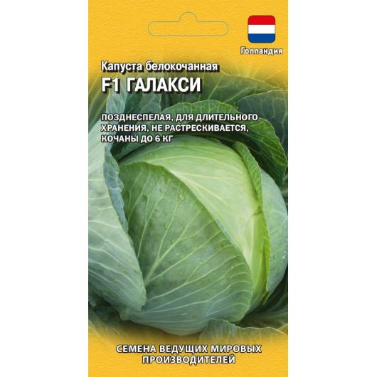 Капуста белокоч. Галакси F1 10 шт. для хранения (Голландия) Капуста белокоч. Галакси F1 10 шт. для хранения (Голландия)