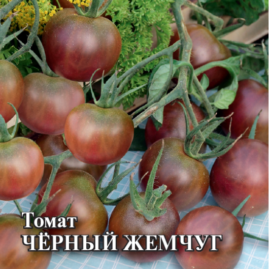 Томат Черный жемчуг 5,0 г Томат Черный жемчуг 5,0 г