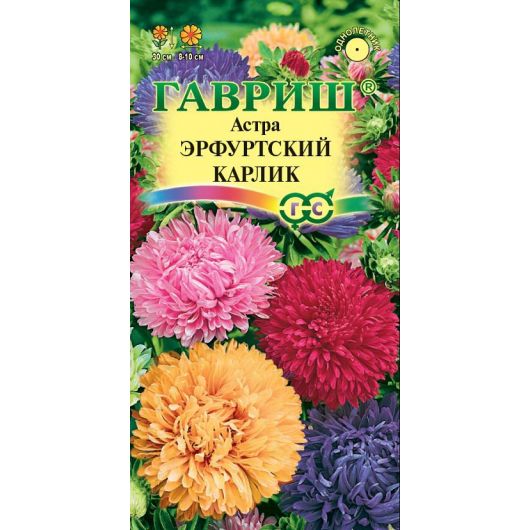 Астра Эрфуртский карлик, однолетняя (смесь) 0,3 г Астра Эрфуртский карлик, однолетняя (смесь) 0,3 г